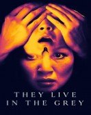 They Live in the Grey Free Download