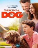 poster_think-like-a-dog_tt5929654.jpg Free Download