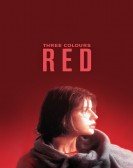 Three Colors: Red Free Download