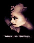 Three Extremes Free Download