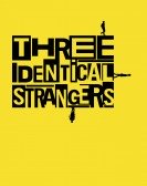 Three Identical Strangers (2018) Free Download