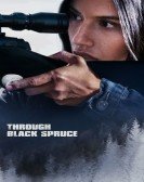 Through Black Spruce poster