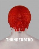 Thunderbird Free Download