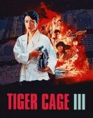 poster_tiger-cage-iii_tt0102286.jpg Free Download