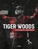 Tiger Woods: Chasing History Free Download