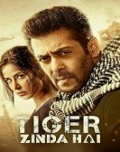 Tiger Zinda Hai (2017) poster