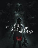 Tigers Are Not Afraid Free Download