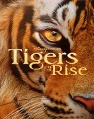 Tigers on the Rise Free Download