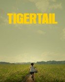 Tigertail (2020) Free Download