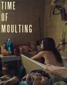 Time of Moulting Free Download