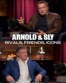 poster_tmz-presents-arnold-sly-rivals-friends-icons_tt32129935.jpg Free Download