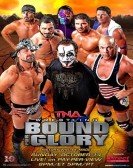 TNA Bound for Glory 2012 Free Download