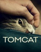 poster_tomcat_tt5432188.jpg Free Download