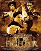 Top Fighter Free Download