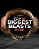 Top 10 Biggest Beasts Ever Free Download