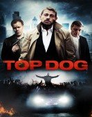 Top Dog poster