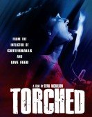 Torched Free Download