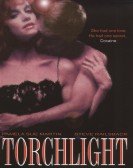 Torchlight Free Download