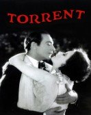 Torrent Free Download