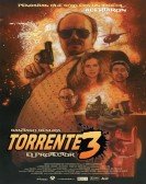 poster_torrente-3-the-protector_tt0444505.jpg Free Download