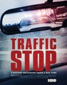 Traffic Stop Free Download