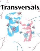 Transversais poster