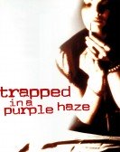 Trapped in a Purple Haze Free Download