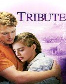 Nora Roberts' Tribute (2009) Free Download