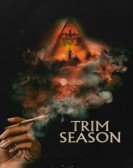 Trim Season Free Download