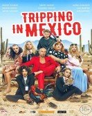 Tripping in Mexico Free Download