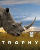 Trophy Free Download