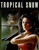 Tropical Snow poster