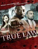 True Law Free Download