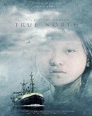 True North Free Download