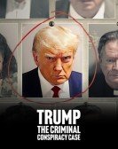 Trump: The Criminal Conspiracy Case Free Download