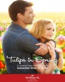 Tulips in Sp poster