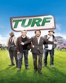 Turf Free Download