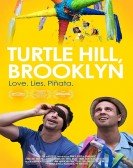 Turtle Hill, Brooklyn Free Download