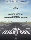 TWA Flight 800 (2013) Free Download