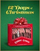 12 Days of Christmas poster