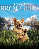 poster_two-brothers_tt0338512.jpg Free Download