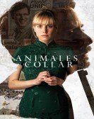 Animales sin collar (2018) Free Download