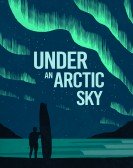 Under an Arctic Sky (2017) Free Download