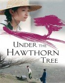 Under the Hawthorn Tree Free Download