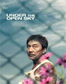 poster_under-the-open-sky_tt12801374.jpg Free Download