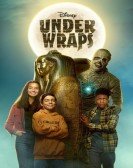 Under Wraps Free Download