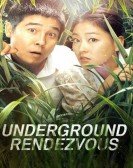 poster_underground-rendezvous_tt6436514.jpg Free Download