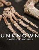 Unknown: Cave of Bones Free Download