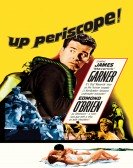 Up Periscope poster