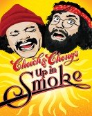 Up In Smoke poster